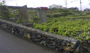 vda-unifamiliar-santa-ursula